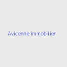 Agence immobiliere avicenne immobilier